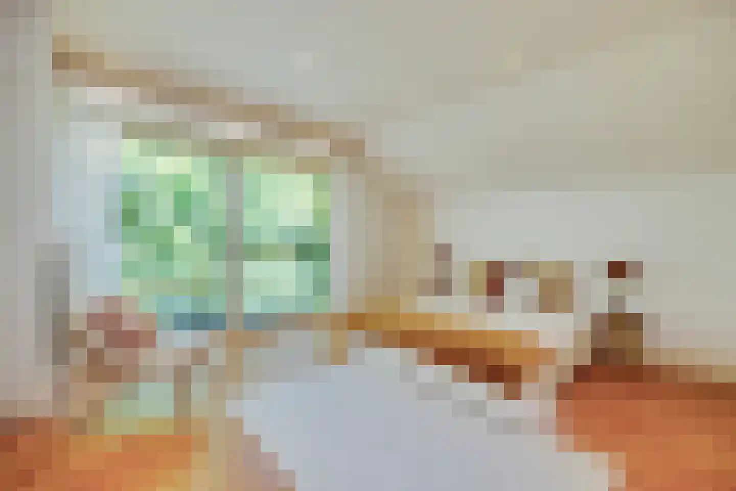 Kastanjelaan 7 Rosmalen thumbnail 39