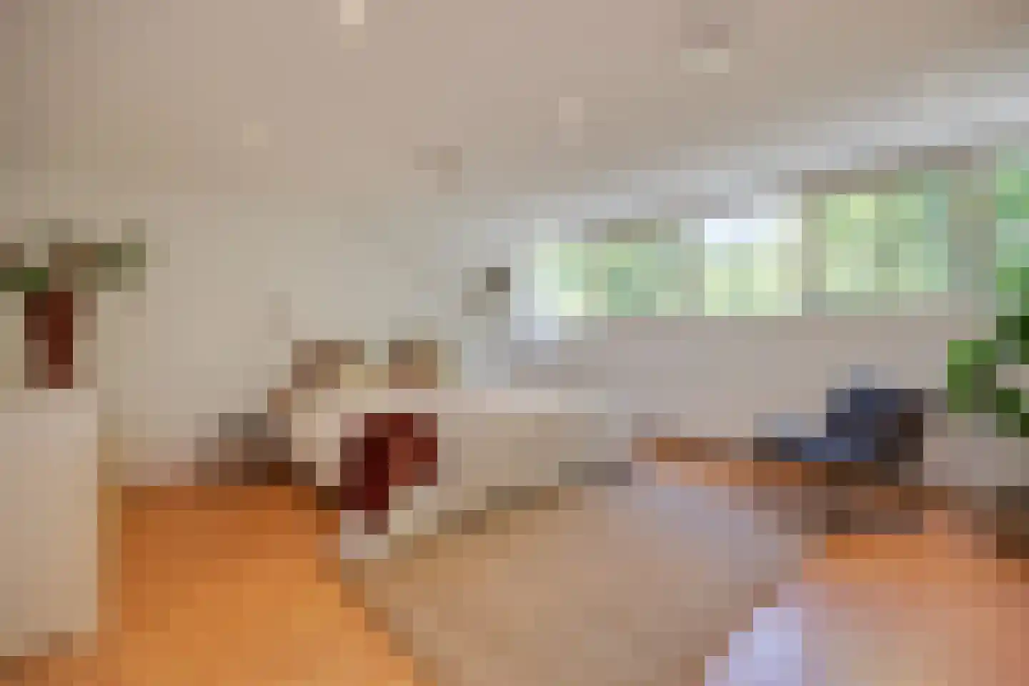 Kastanjelaan 7 Rosmalen thumbnail 42