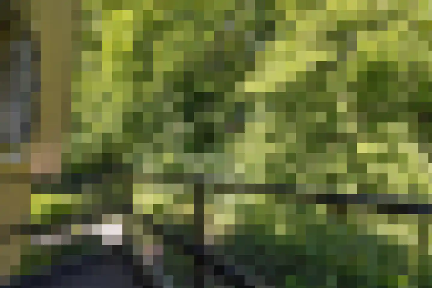Kastanjelaan 7 Rosmalen thumbnail 44