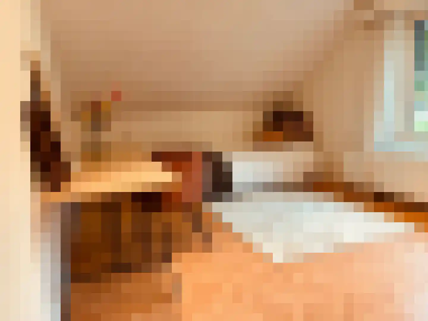 Kastanjelaan 7 Rosmalen thumbnail 45