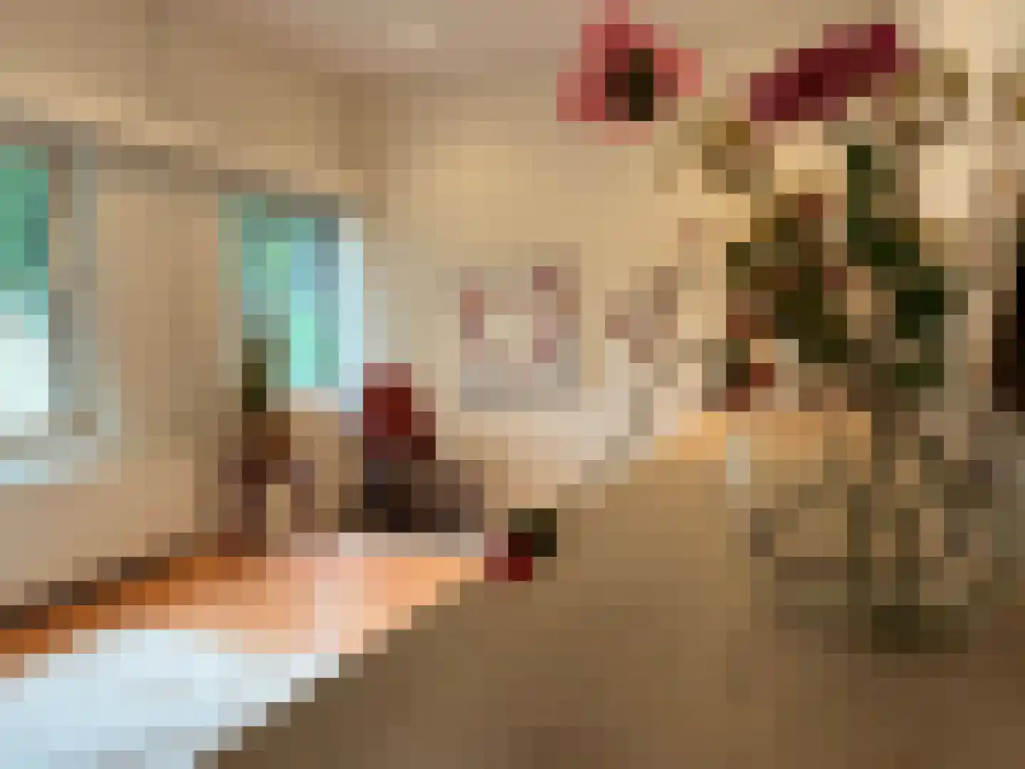 Kastanjelaan 7 Rosmalen thumbnail 46