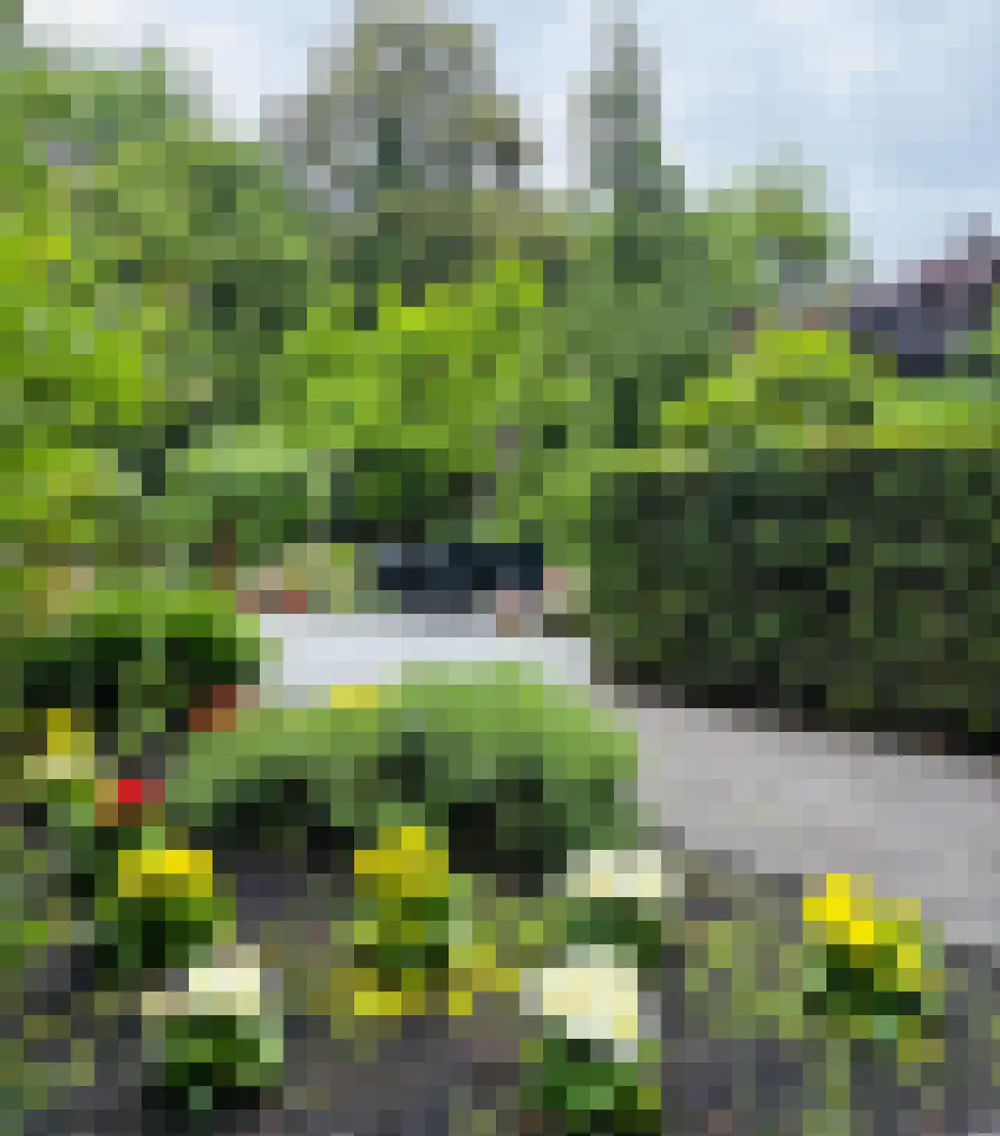 Kastanjelaan 7 Rosmalen thumbnail 52