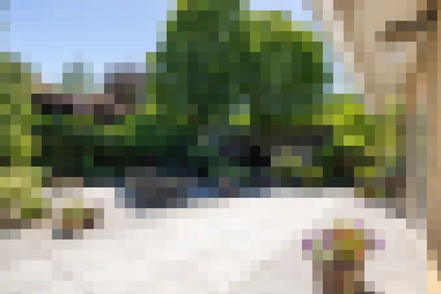 Kastanjelaan 7 Rosmalen thumbnail 56