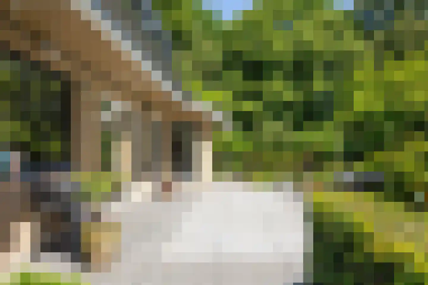 Kastanjelaan 7 Rosmalen thumbnail 57