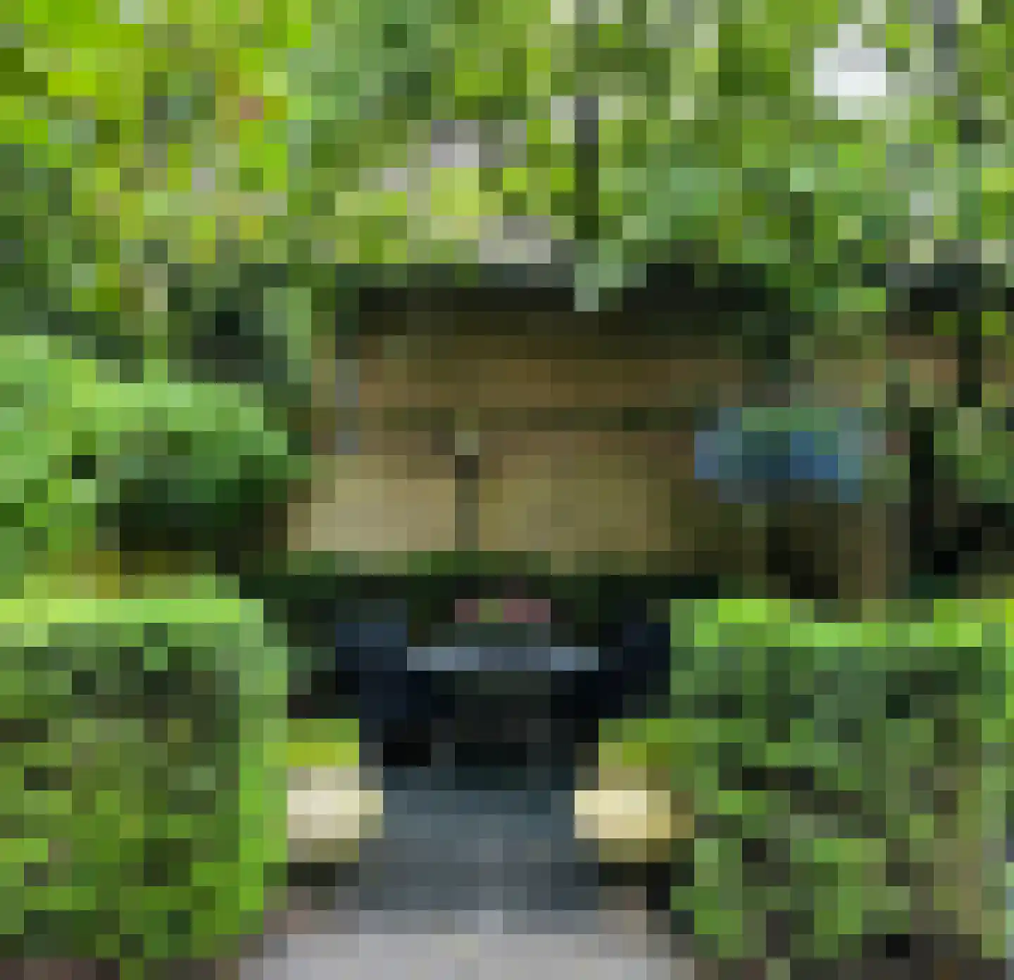 Kastanjelaan 7 Rosmalen thumbnail 58