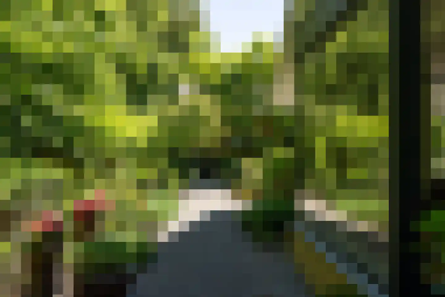 Kastanjelaan 7 Rosmalen thumbnail 60