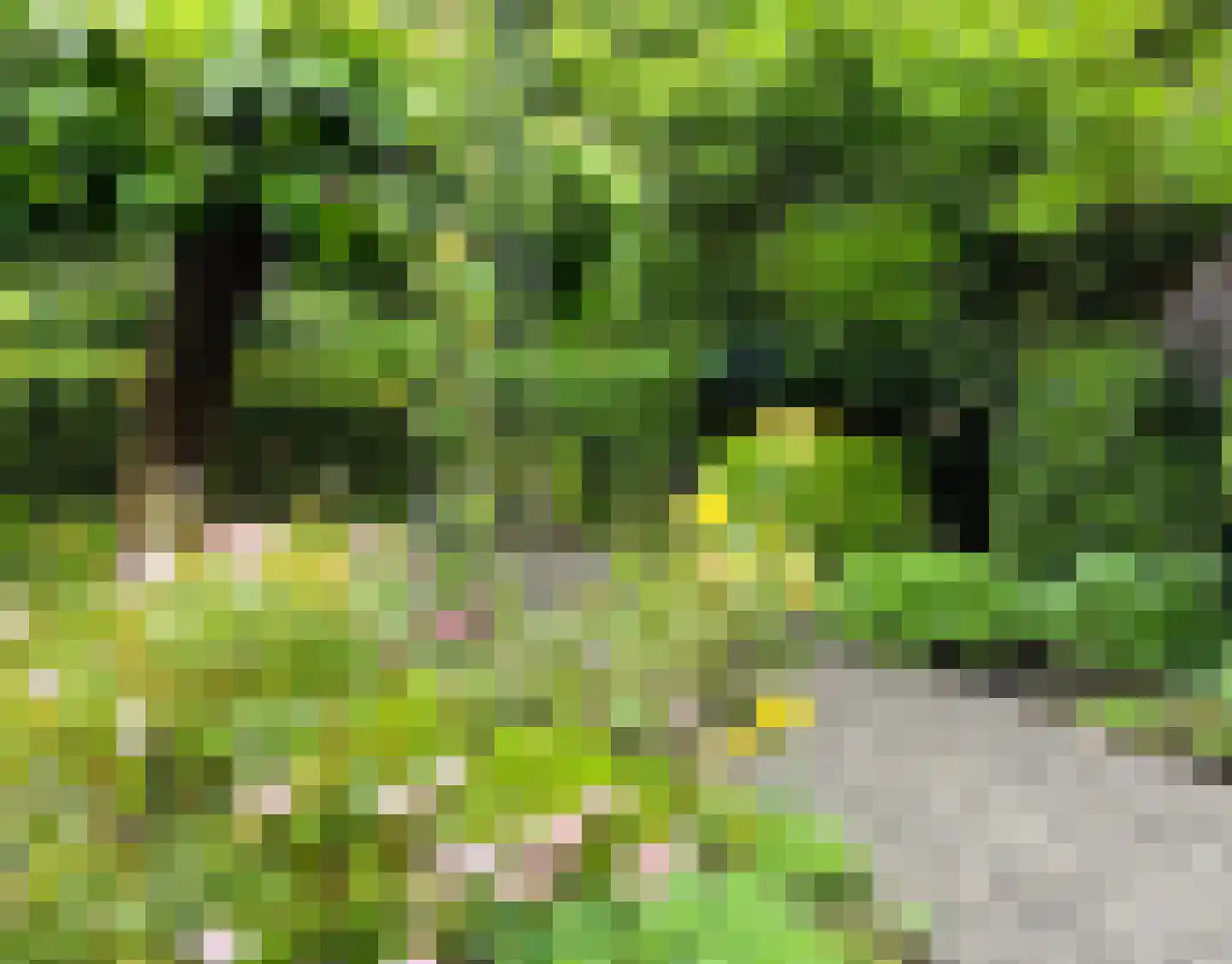 Kastanjelaan 7 Rosmalen thumbnail 61