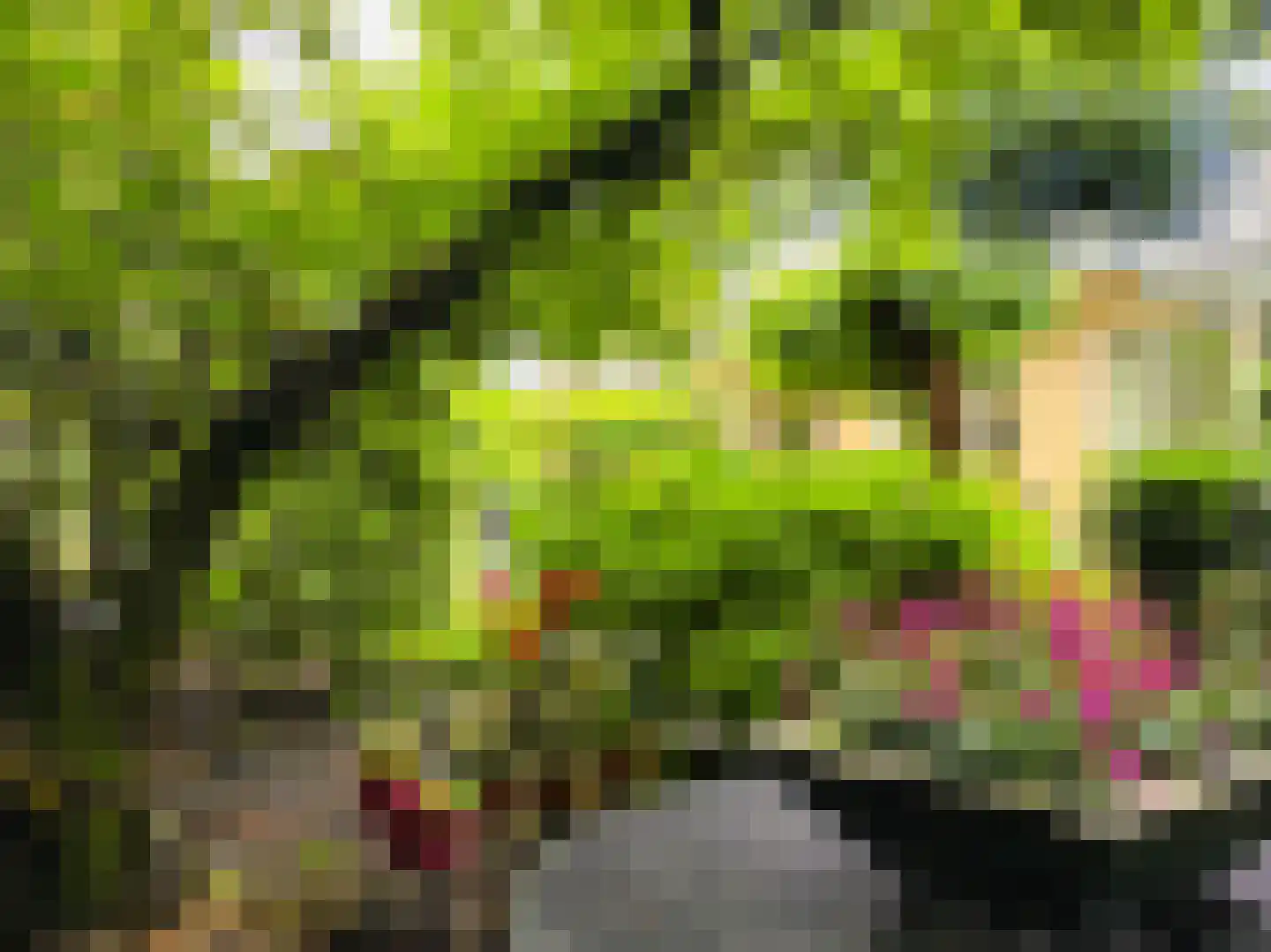 Kastanjelaan 7 Rosmalen thumbnail 62