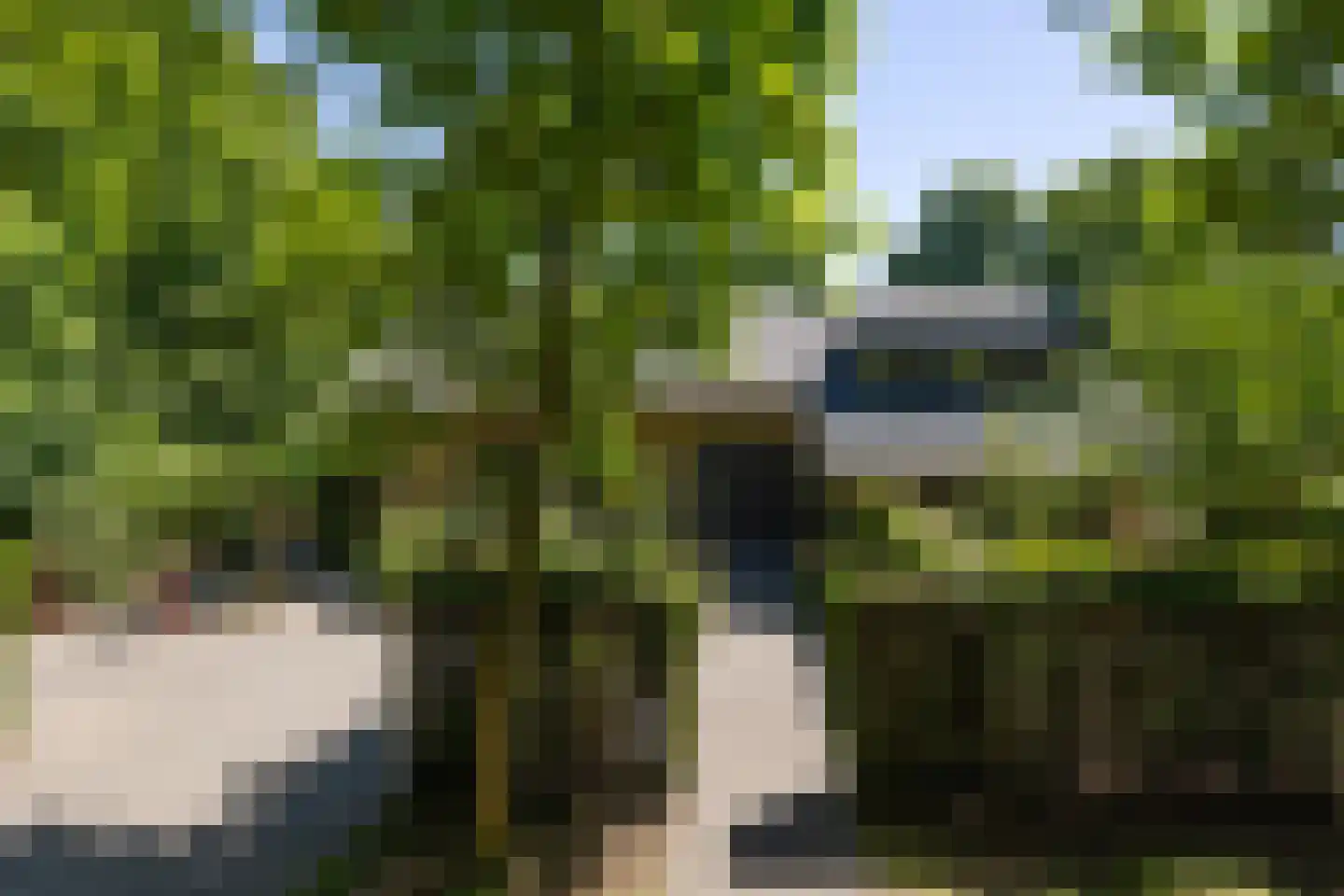 Kastanjelaan 7 Rosmalen thumbnail 63