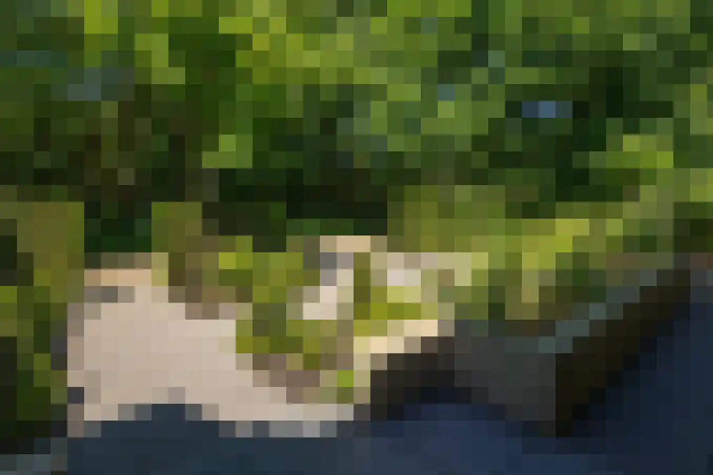 Kastanjelaan 7 Rosmalen thumbnail 66