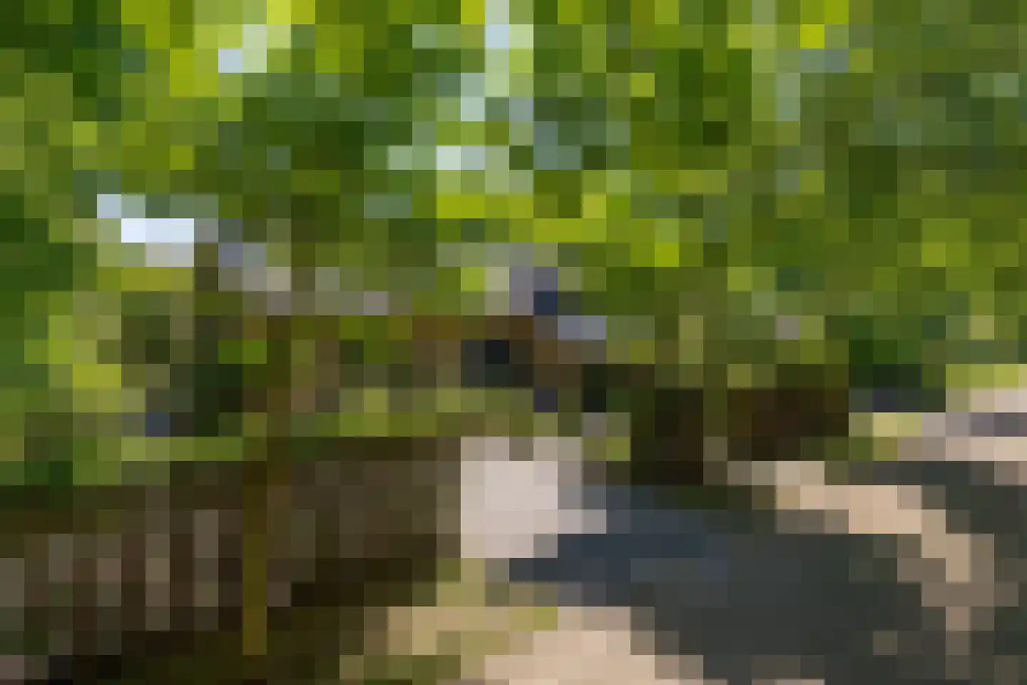 Kastanjelaan 7 Rosmalen thumbnail 69