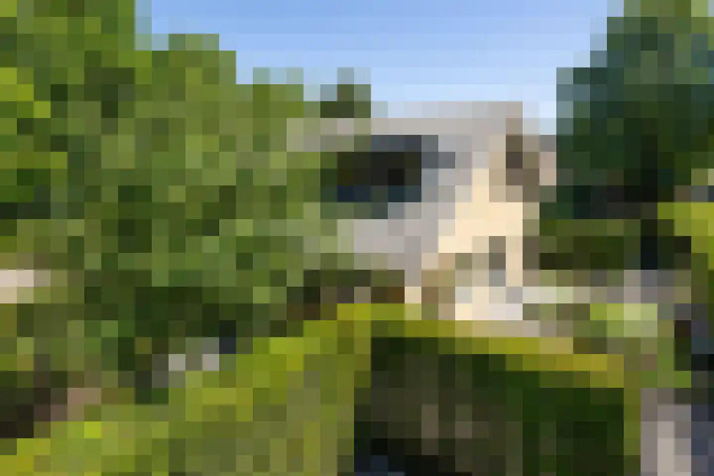 Kastanjelaan 7 Rosmalen thumbnail 71