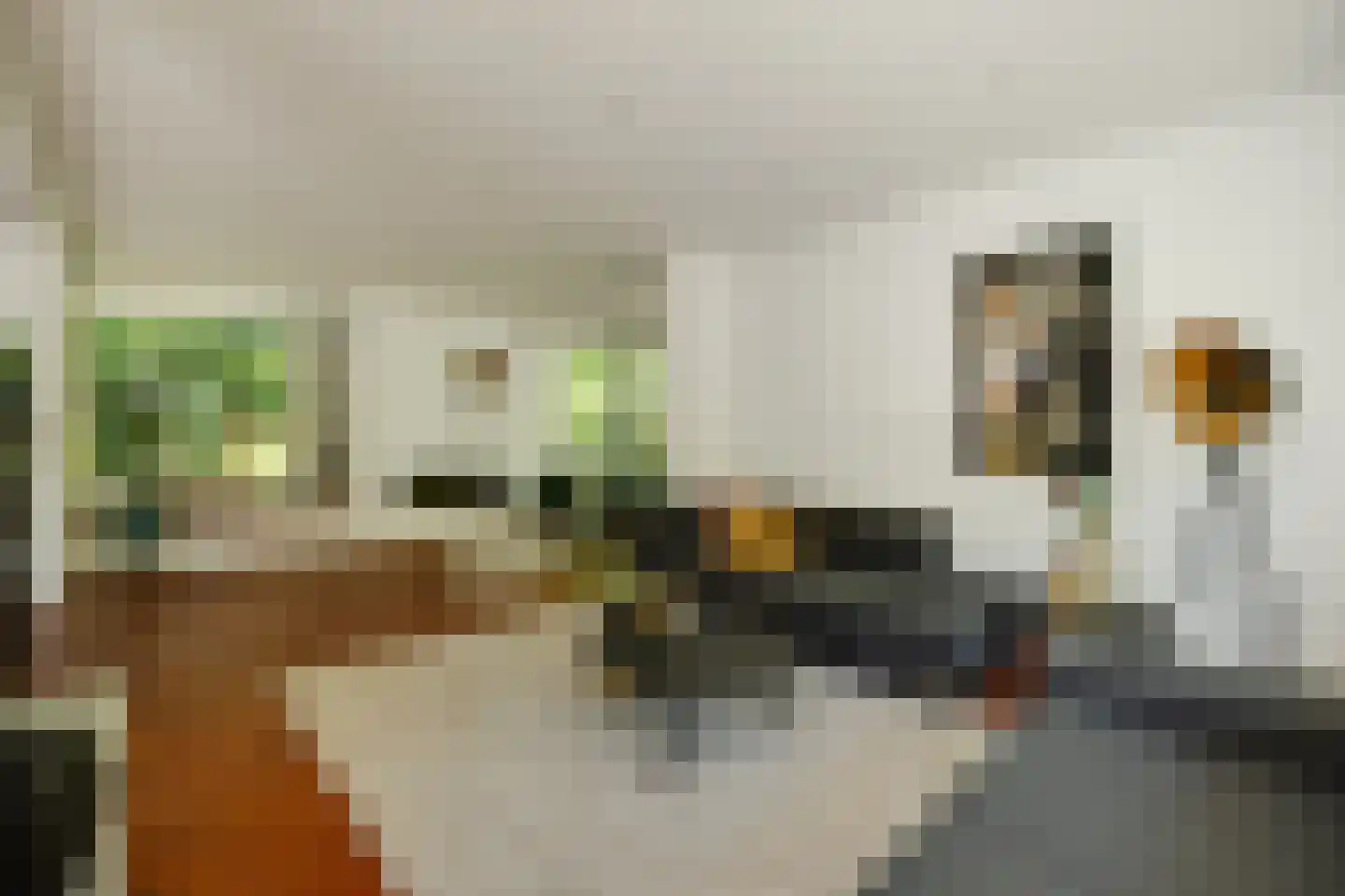 Kastanjelaan 7 Rosmalen thumbnail 9