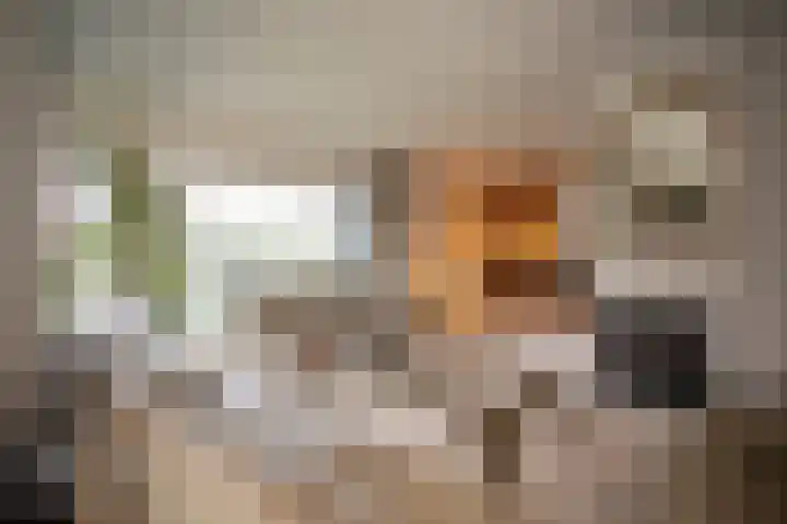 Kastanjelaan 7 Wierden thumbnail 11