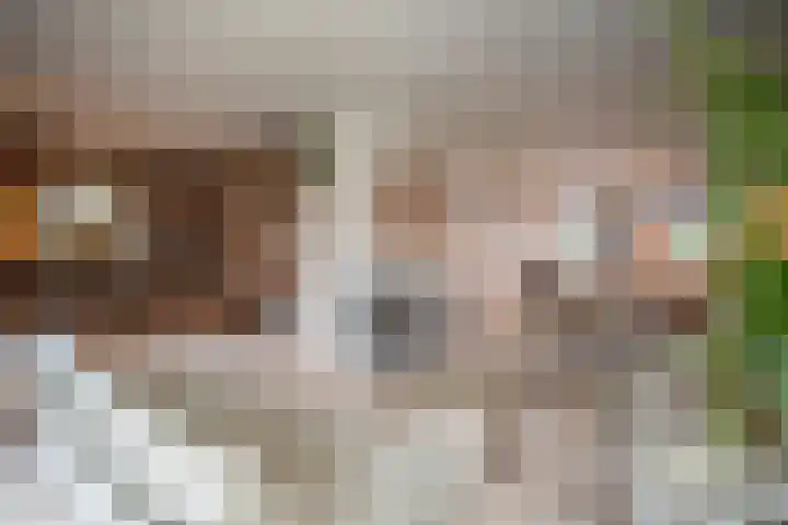 Kastanjelaan 7 Wierden thumbnail 13