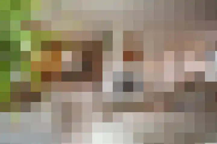 Kastanjelaan 7 Wierden thumbnail 15