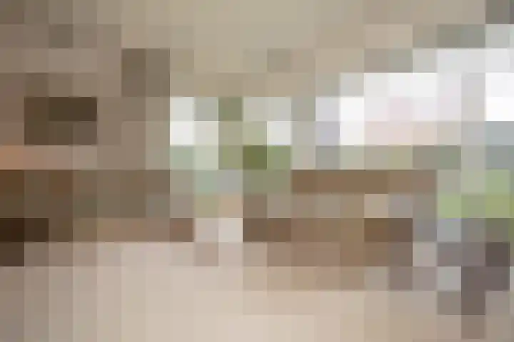 Kastanjelaan 7 Wierden thumbnail 18
