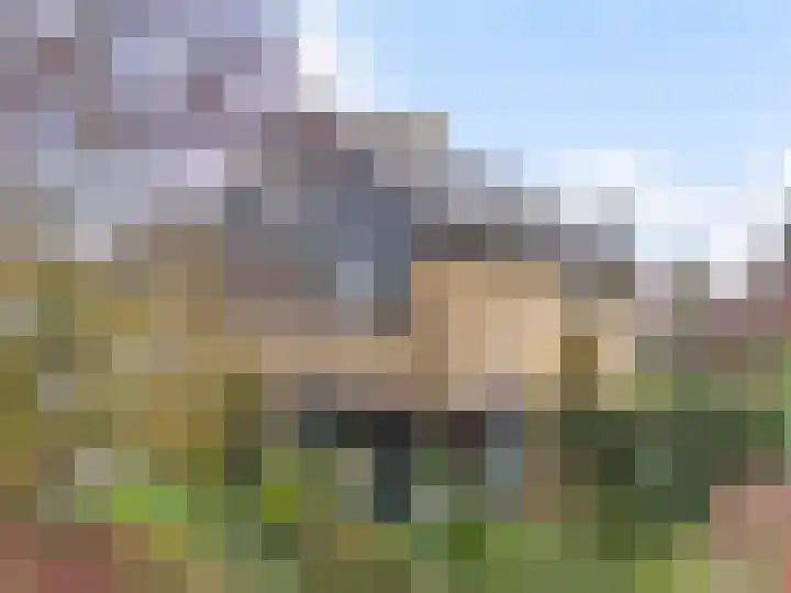 Kastanjelaan 7 Wierden foto 2