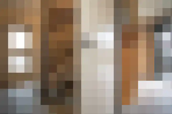 Kastanjelaan 7 Wierden thumbnail 20