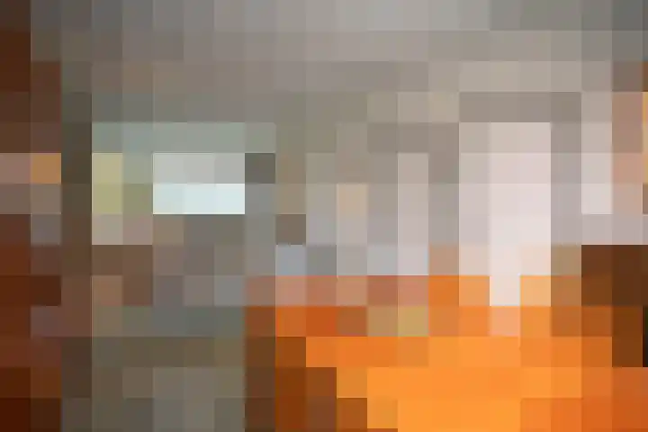Kastanjelaan 7 Wierden thumbnail 21