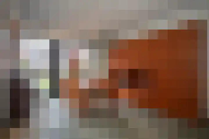 Kastanjelaan 7 Wierden thumbnail 22