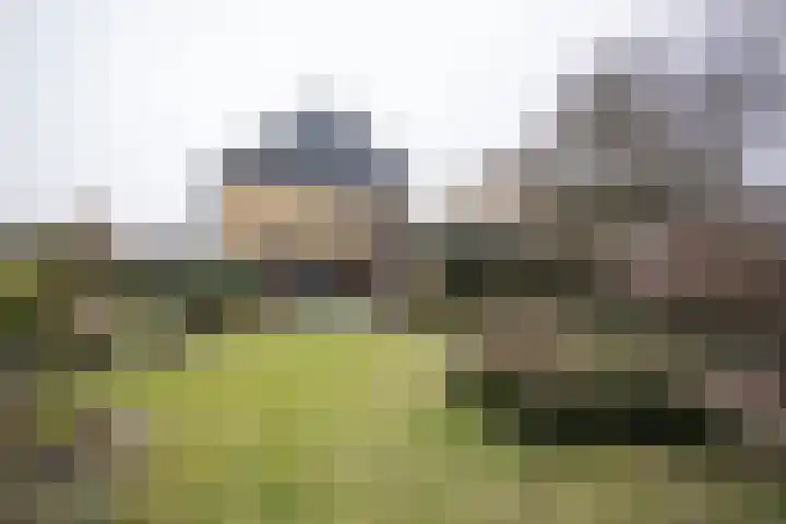 Kastanjelaan 7 Wierden foto 3
