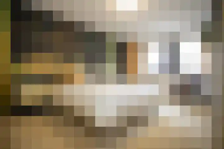 Kastanjelaan 7 Wierden thumbnail 34