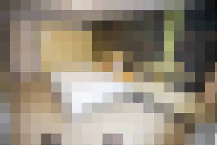 Kastanjelaan 7 Wierden thumbnail 35