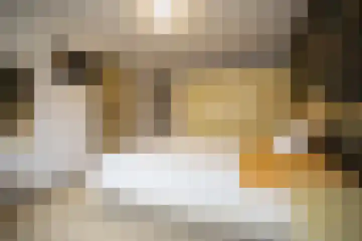 Kastanjelaan 7 Wierden thumbnail 36