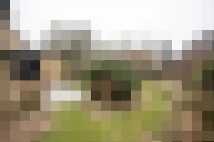 Kastanjelaan 7 Wierden thumbnail 4