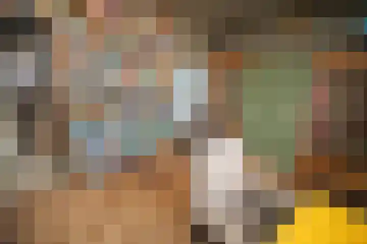 Kastanjelaan 7 Wierden thumbnail 40