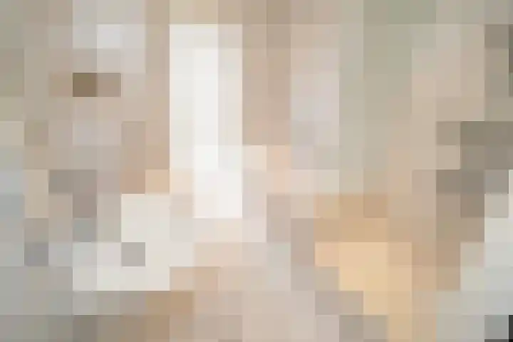 Kastanjelaan 7 Wierden thumbnail 46