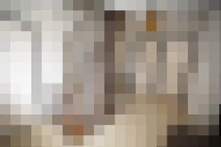 Kastanjelaan 7 Wierden thumbnail 47