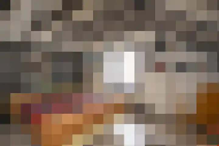 Kastanjelaan 7 Wierden thumbnail 49