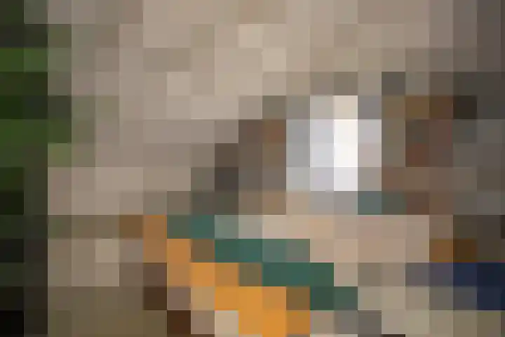 Kastanjelaan 7 Wierden thumbnail 50