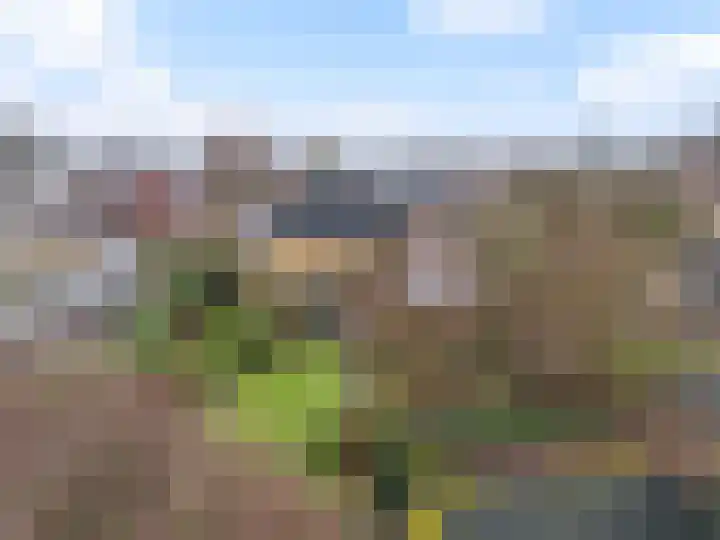 Kastanjelaan 7 Wierden thumbnail 52