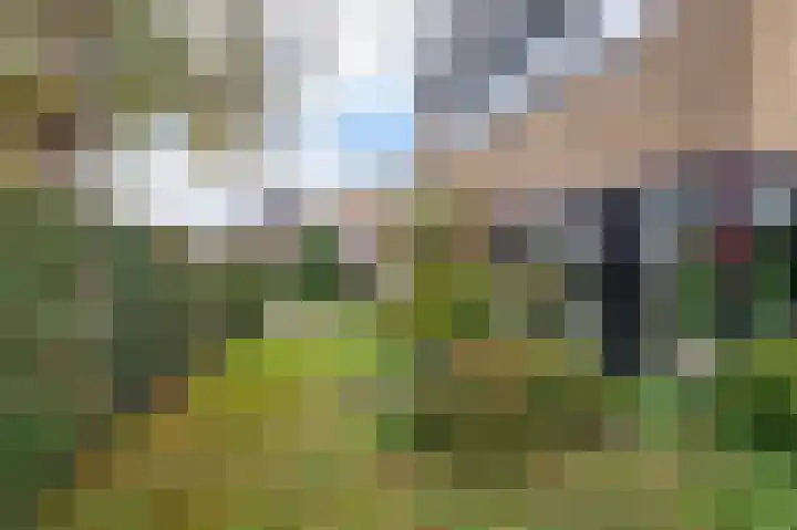 Kastanjelaan 7 Wierden thumbnail 53