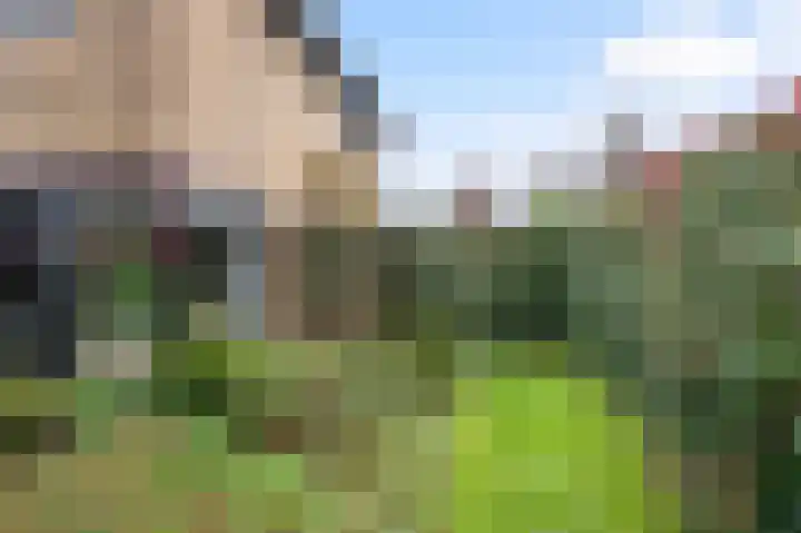 Kastanjelaan 7 Wierden thumbnail 54