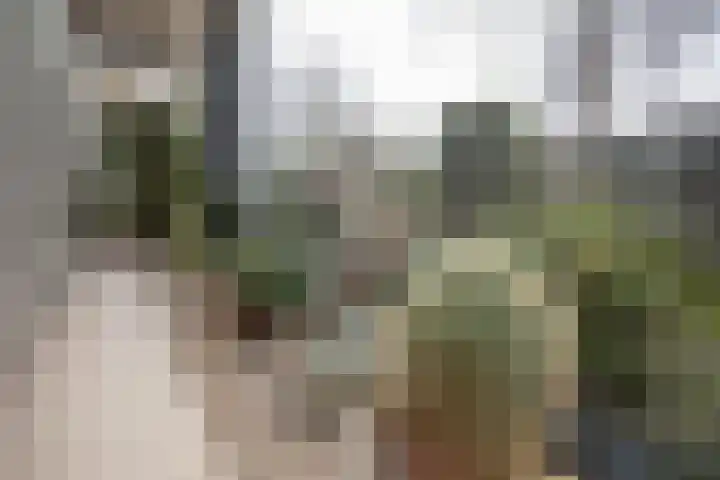 Kastanjelaan 7 Wierden thumbnail 56