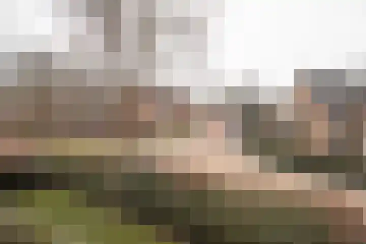 Kastanjelaan 7 Wierden thumbnail 57