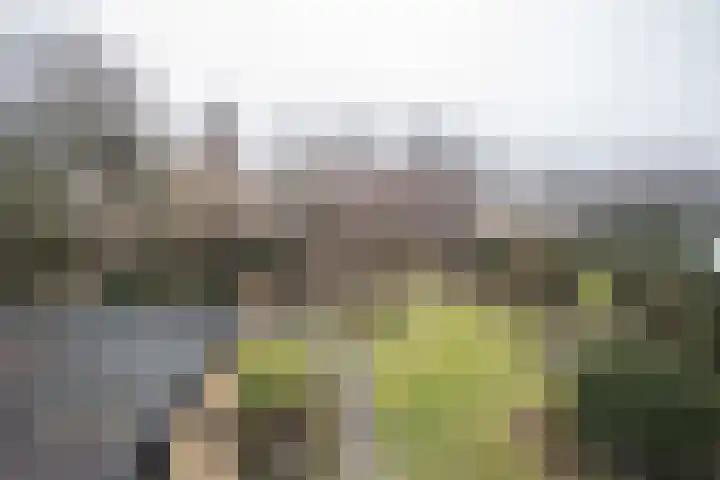 Kastanjelaan 7 Wierden thumbnail 58
