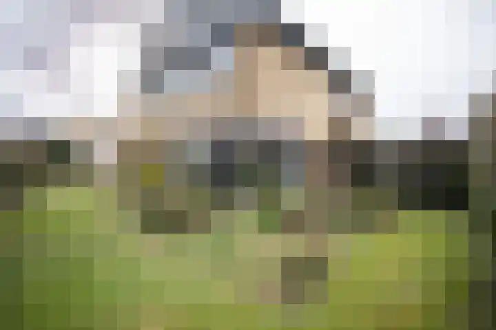 Kastanjelaan 7 Wierden thumbnail 6