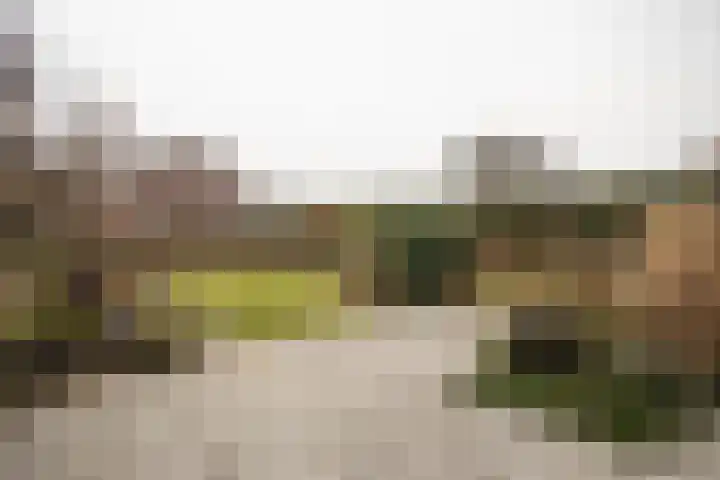 Kastanjelaan 7 Wierden thumbnail 60