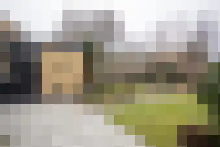 Kastanjelaan 7 Wierden thumbnail 61