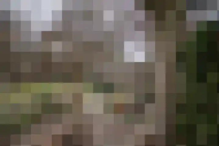 Kastanjelaan 7 Wierden thumbnail 62