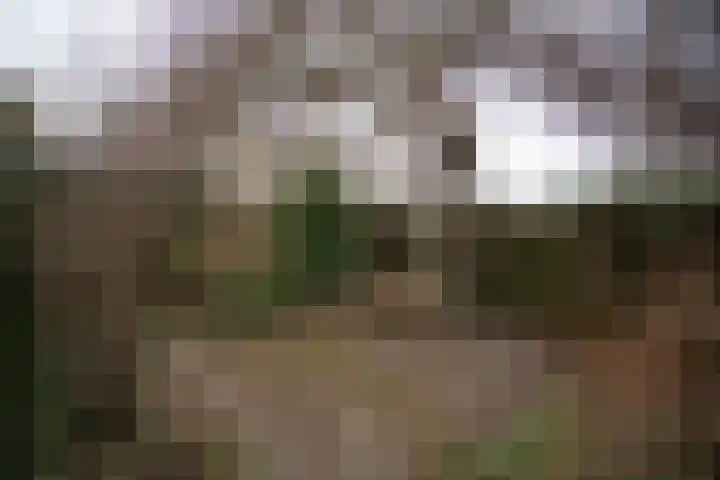 Kastanjelaan 7 Wierden thumbnail 63