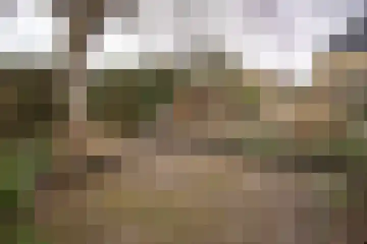 Kastanjelaan 7 Wierden thumbnail 65