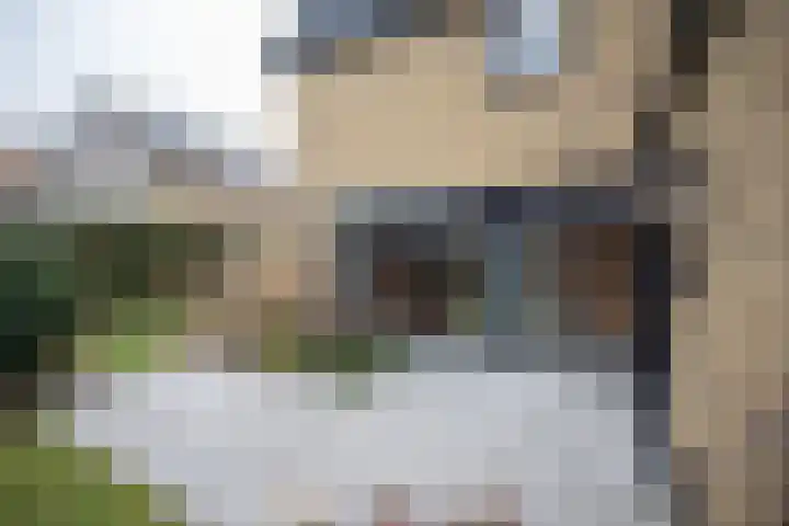 Kastanjelaan 7 Wierden thumbnail 66