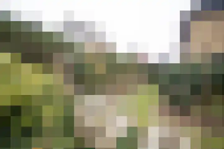 Kastanjelaan 7 Wierden thumbnail 67