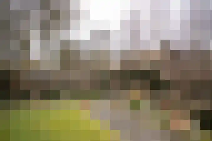 Kastanjelaan 7 Wierden thumbnail 68